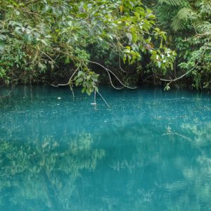 Swimming Hole In Costa Rica
