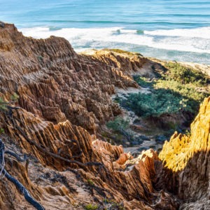 Best things to do in San Diego Cliffs