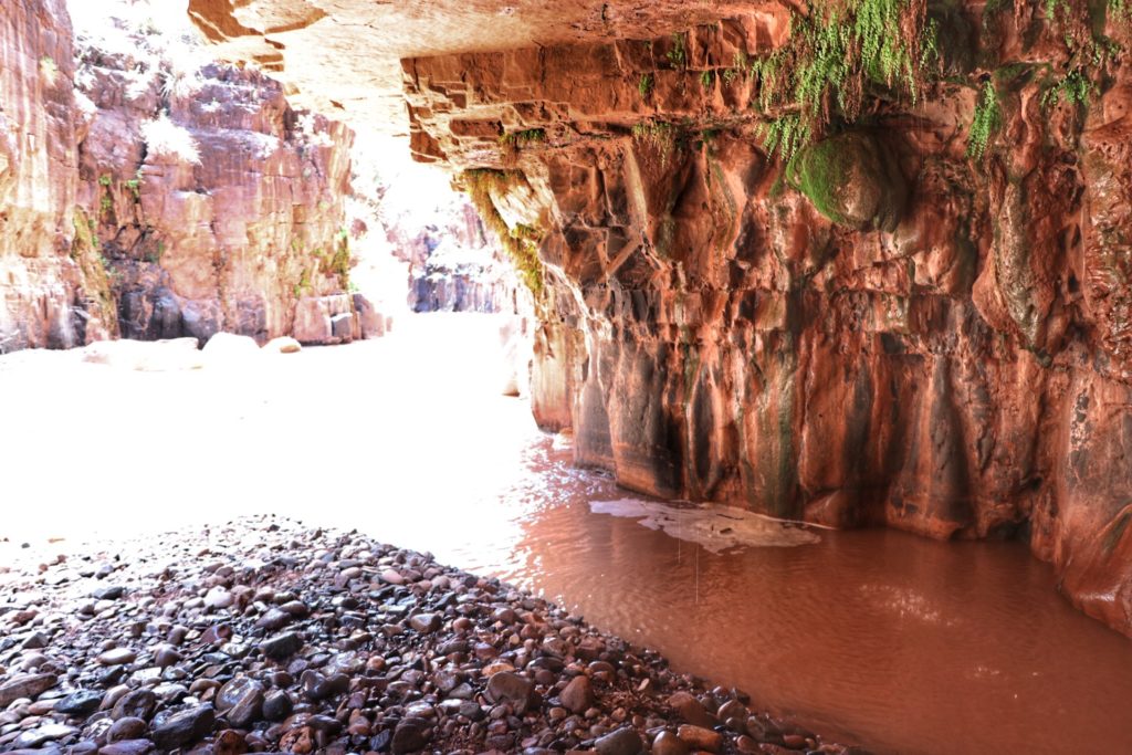 Canyons with water along the Cibecue falls hike