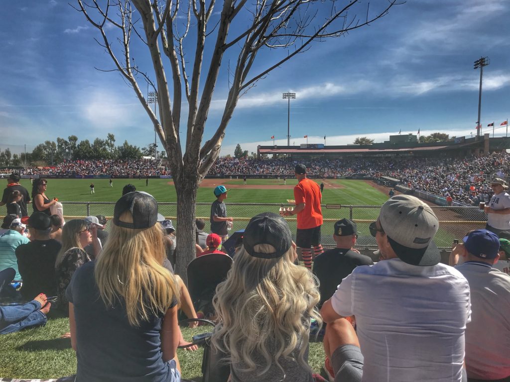 The phoenix bucket list things you have to do Spring training