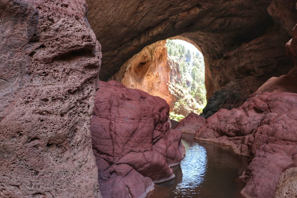 In a cave looking out with water in natural bridge state park