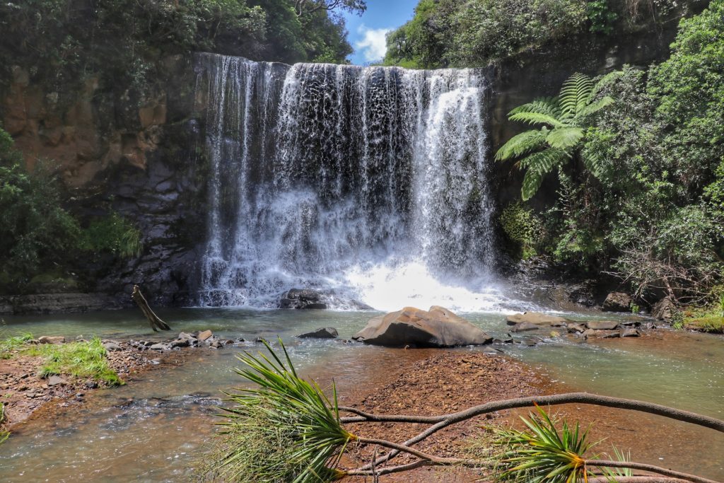 Best things to do in New Zealand's North Island