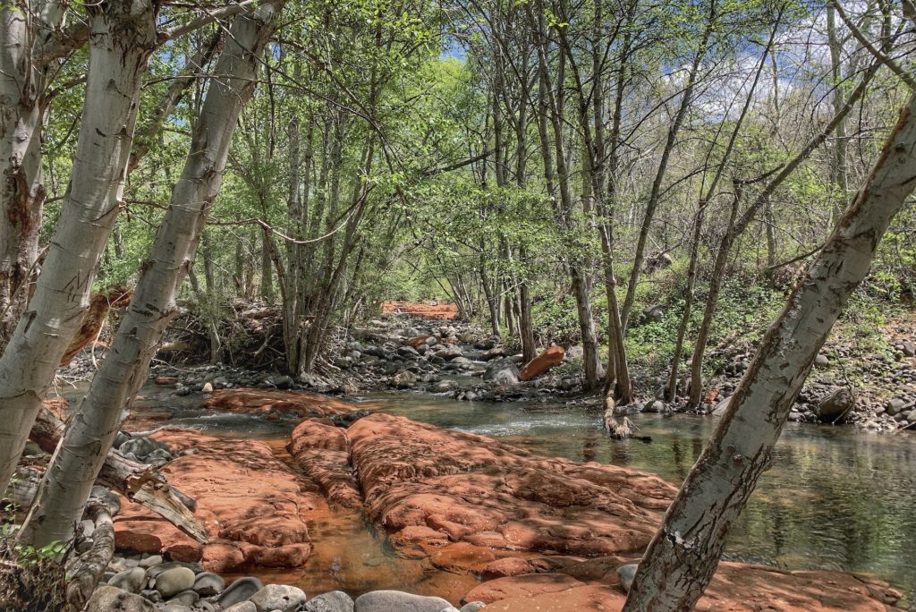 Best hikes in Sedona Wet Beaver Creek