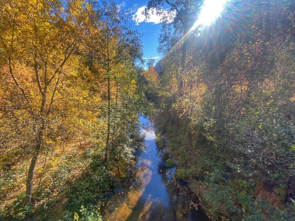 West Fork Trail Best Hikes In Sedona