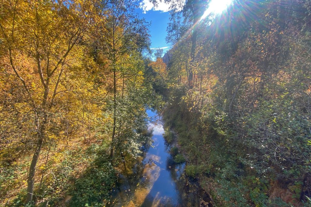 West Fork Trail Best Hikes In Sedona