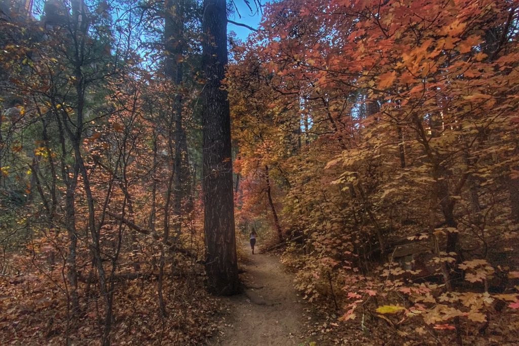 West Fork Trail Best Hikes In Sedona