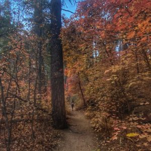 West Fork Trail Best Hikes In Sedona