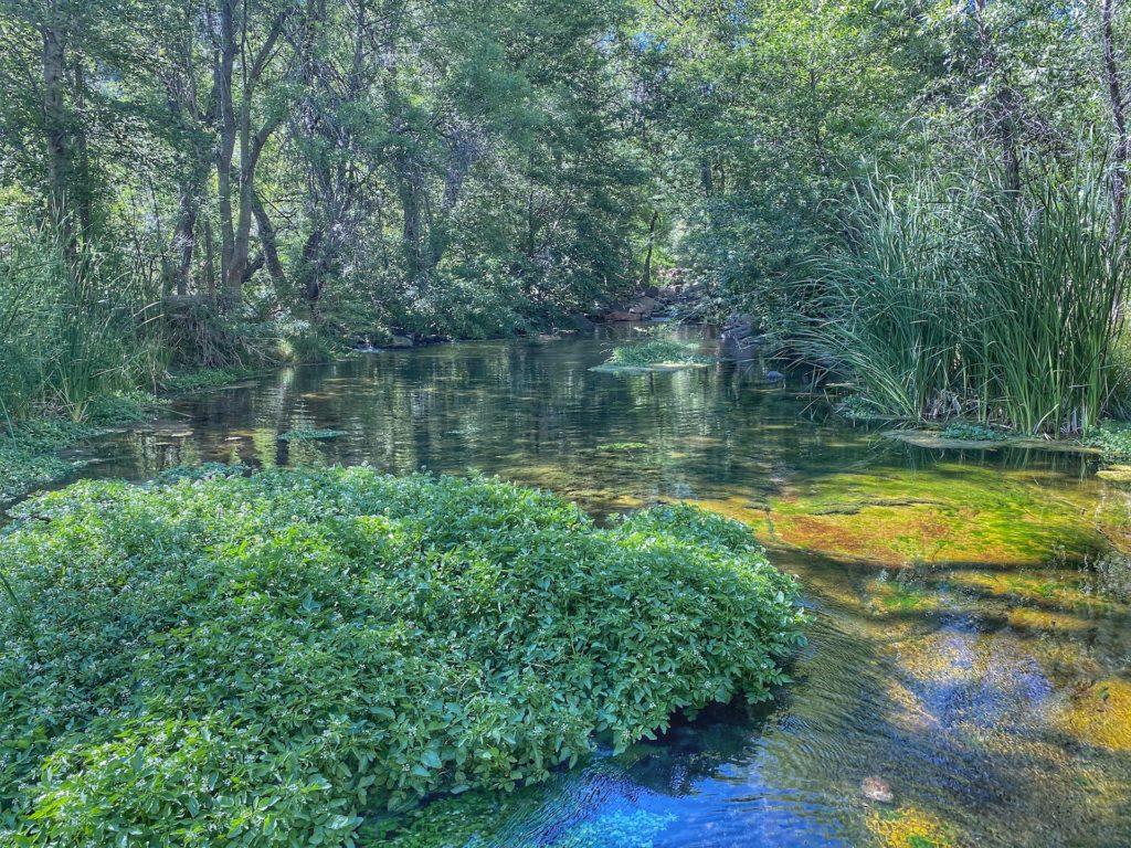 A spring running along part of the Bob Bear Trail Hike with beautiful greenery.