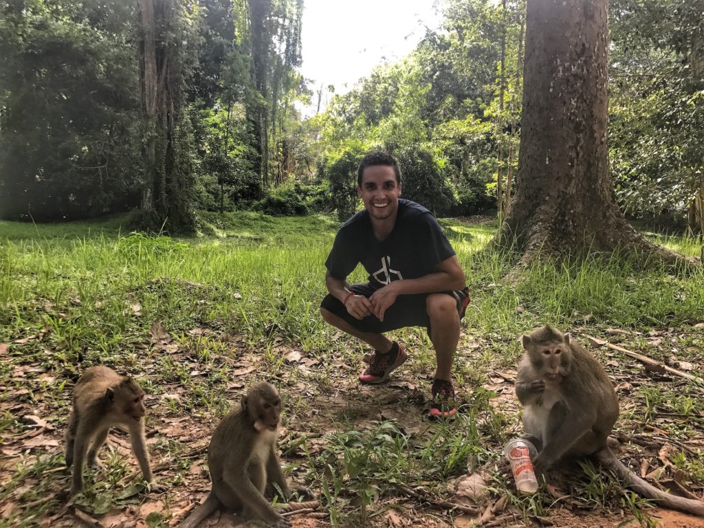 monkeys in siem reap