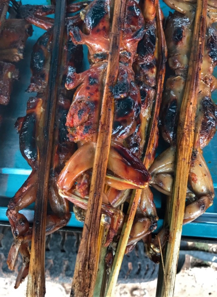 best things to do in Siem Reap eating frog