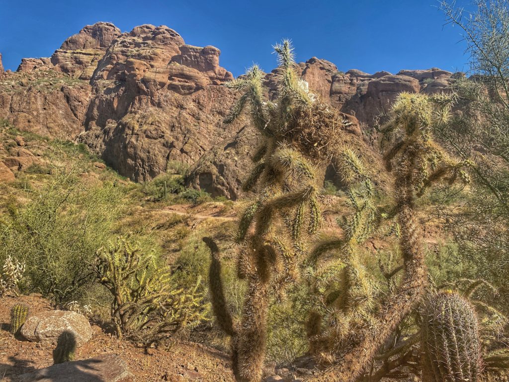 Camelback Mountain Best Hikes Phoenix