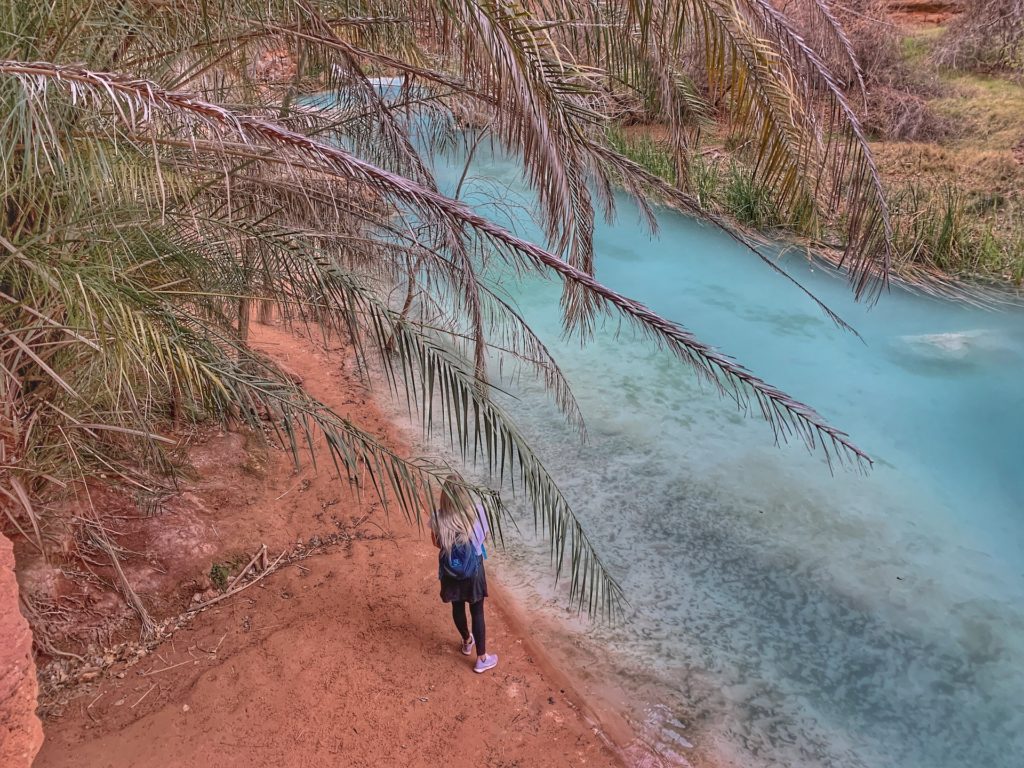 Havasupai Falls Trail Hike Guide how to get passes