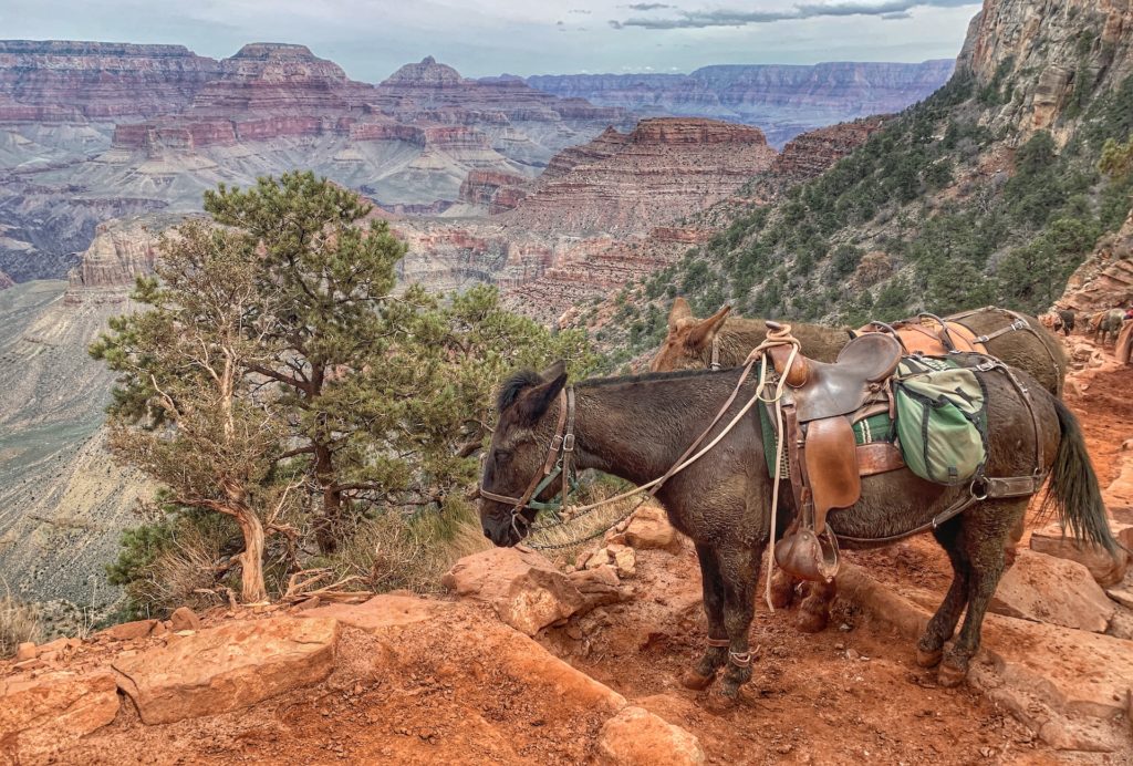 South Kaibab Trail