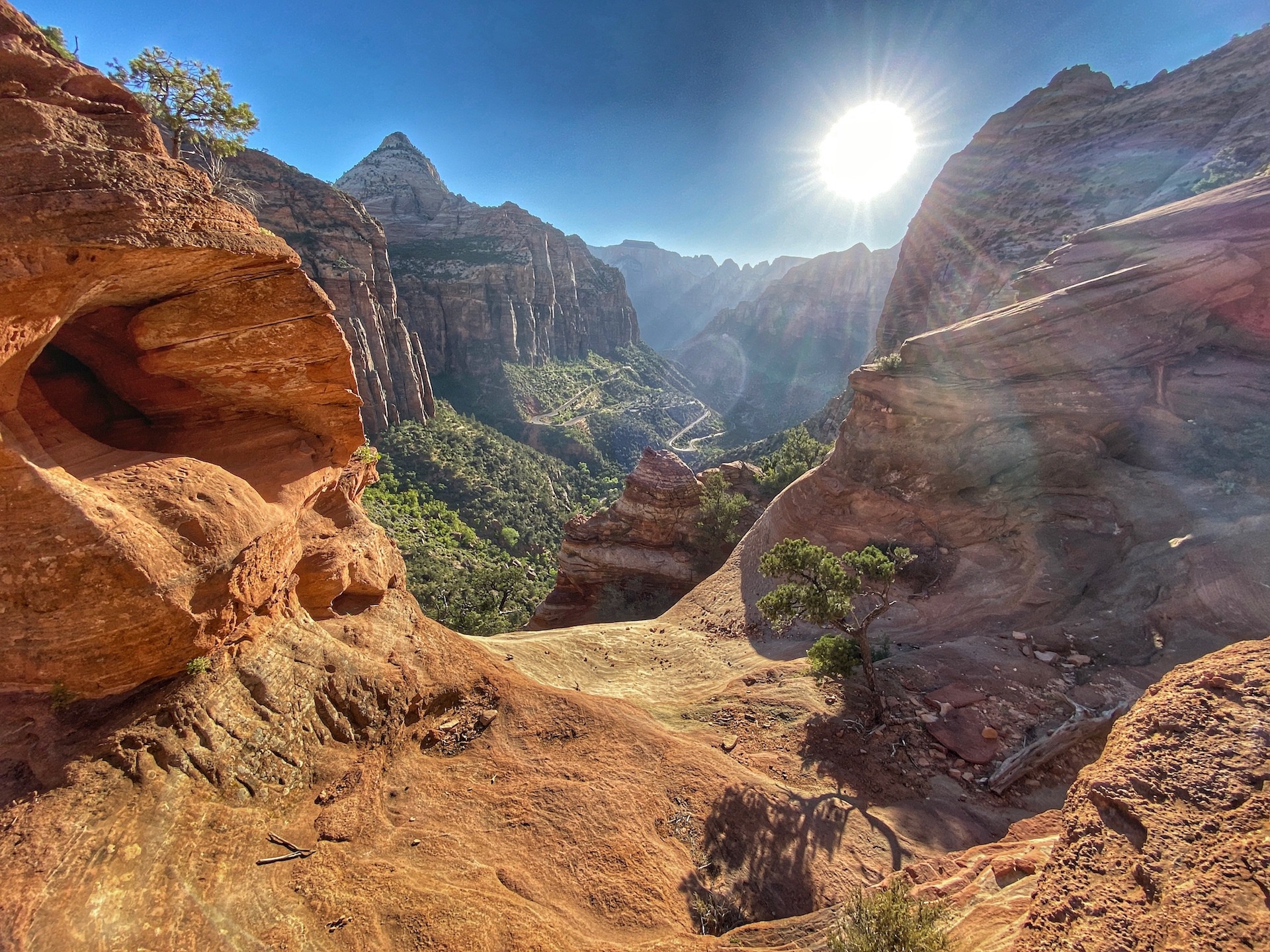 Best Easy Hike In Zion Canyon Overlook Trail Inspire • Travel • Eat