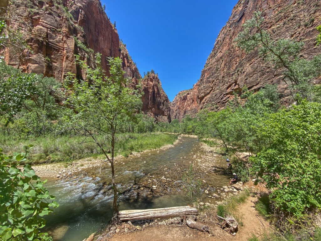 Best Hikes in Zion Riverwalk Trail The Narrows 3