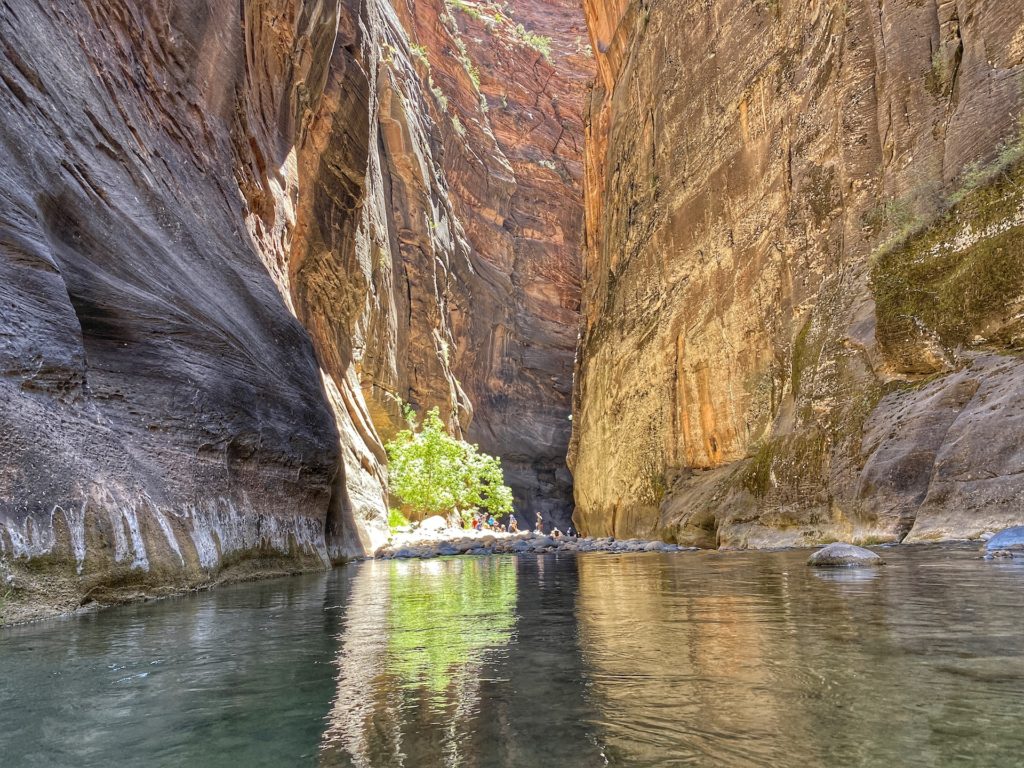 Best Hikes in Zion The Narrows