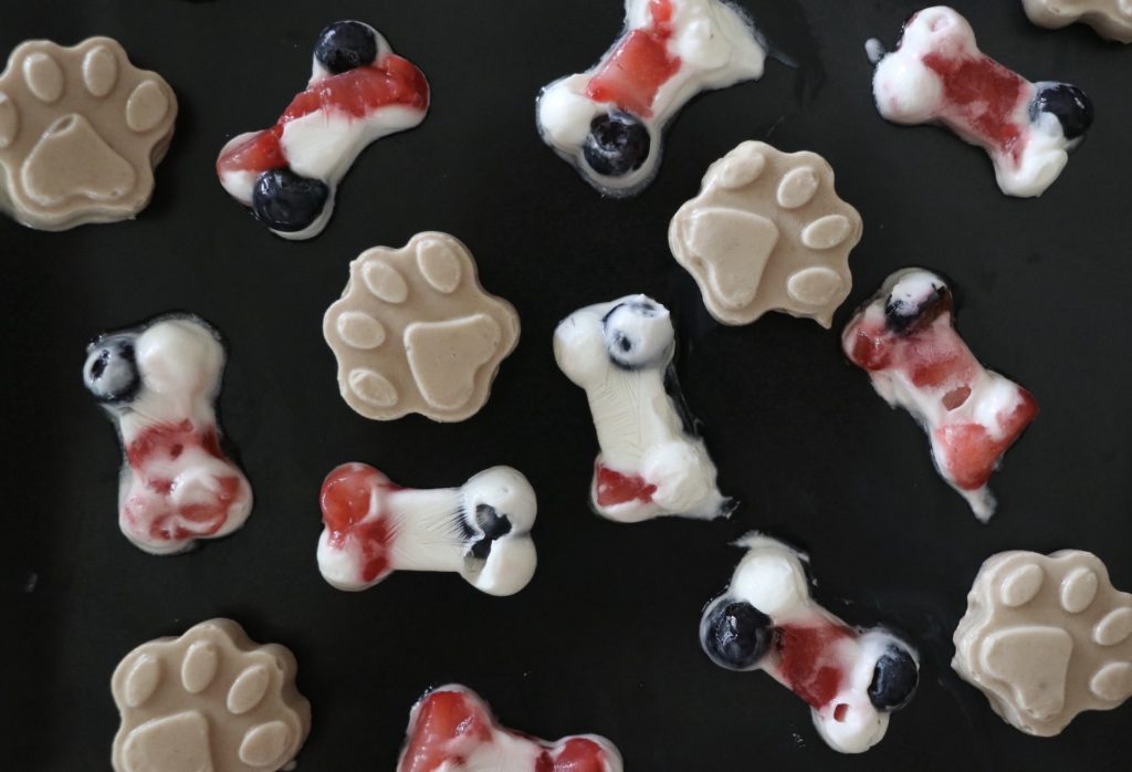 Pupsicle Recipe DIY Frozen Dog Treats 