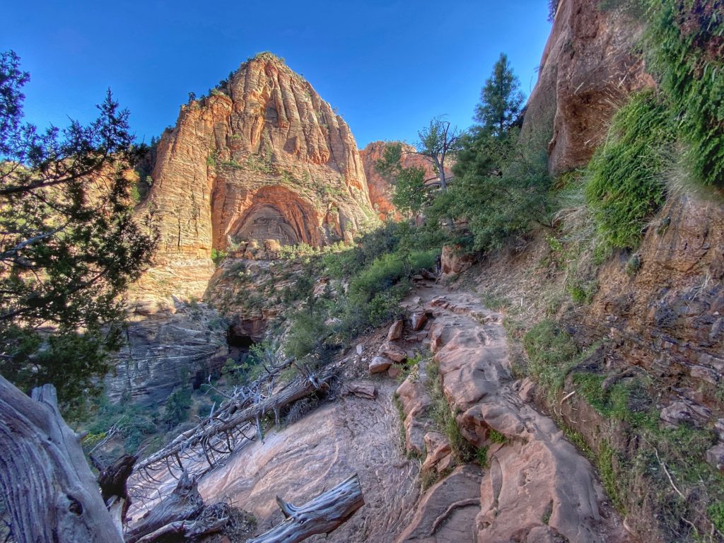 Best Hikes To Do In Zion Canyon Overlook 22