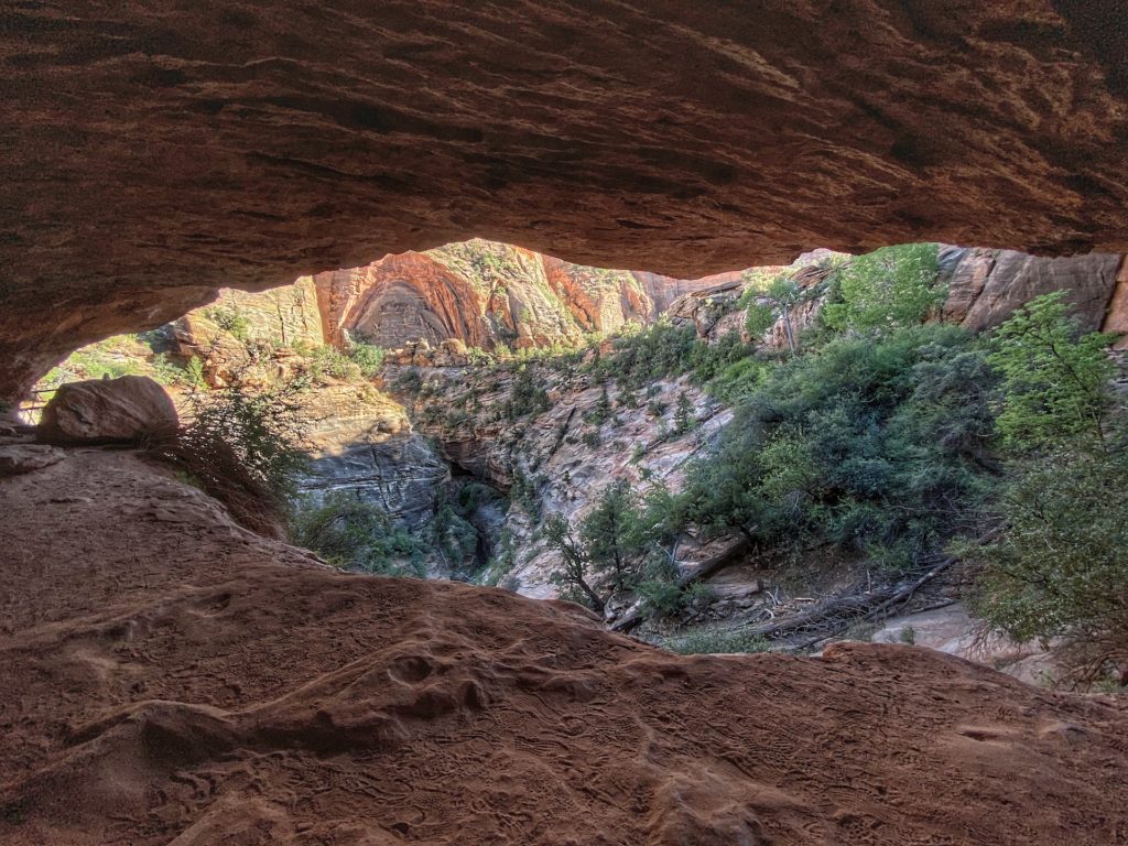 Best Hikes To Do In Zion Canyon Overlook 22