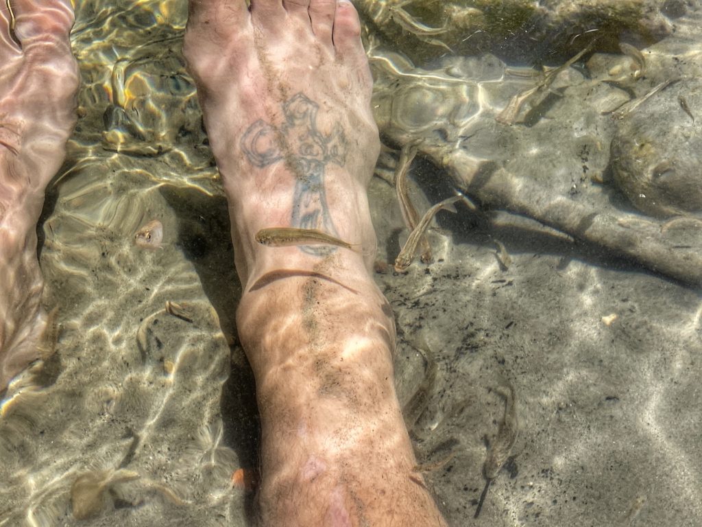 Bucket List Things To Do in Zion National Park Fish Pedicure