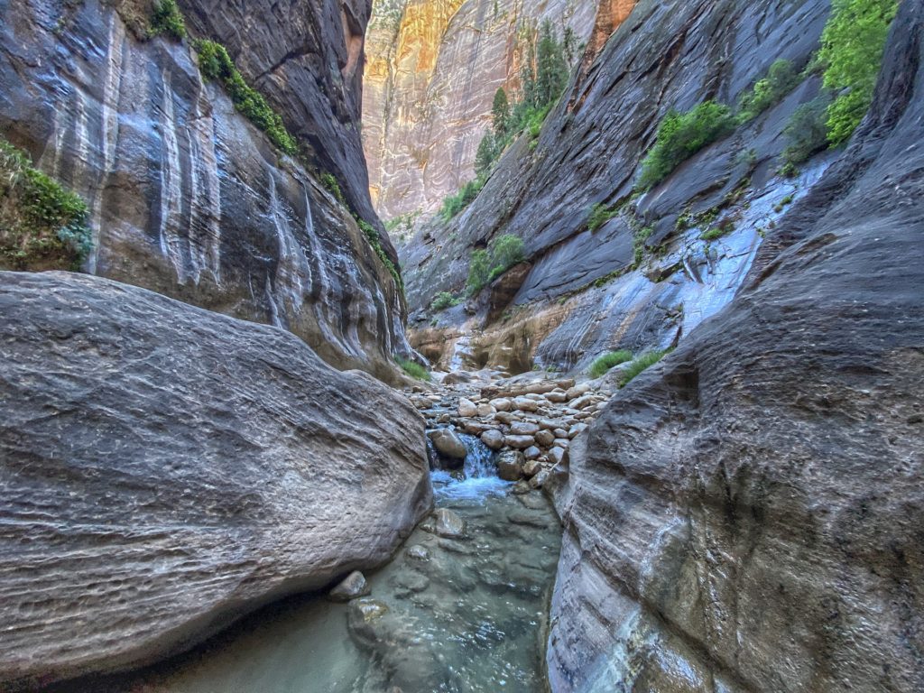 Best Hikes in Zion The Narrows