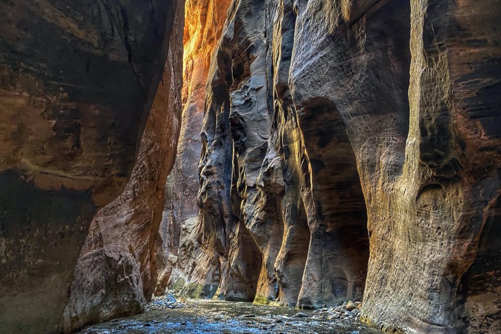 Best Hikes in Zion The Narrows