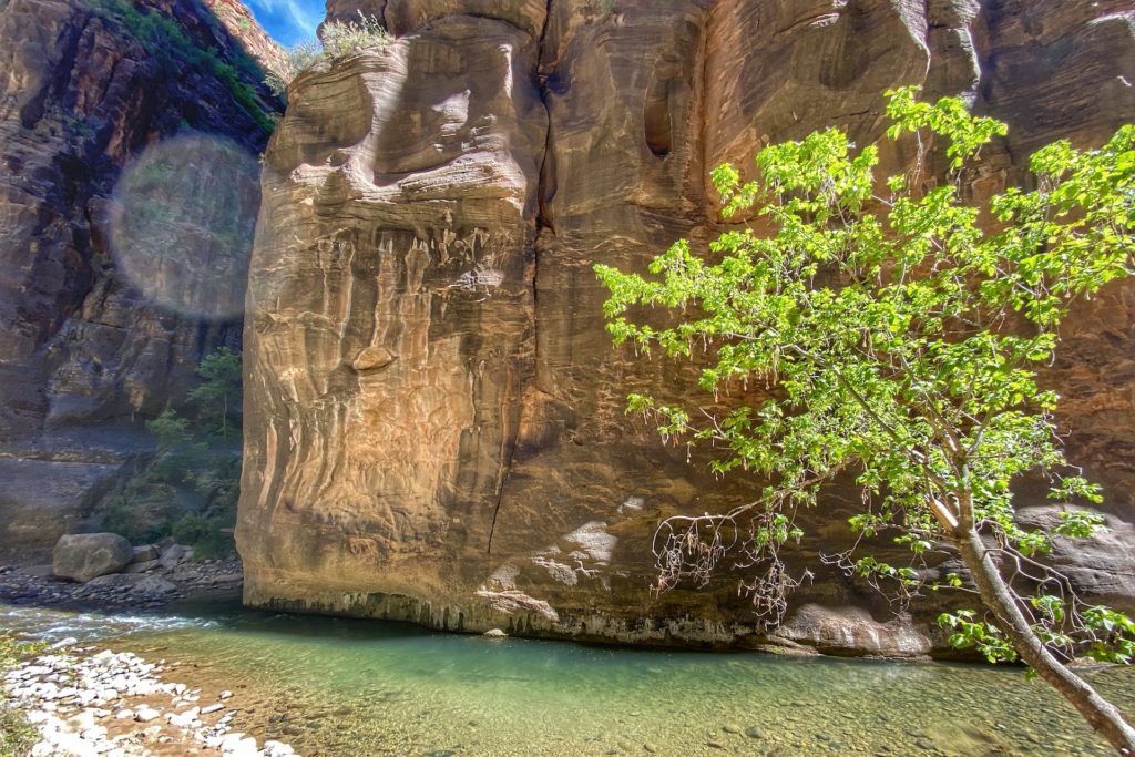 Best Hikes in Zion The Narrows