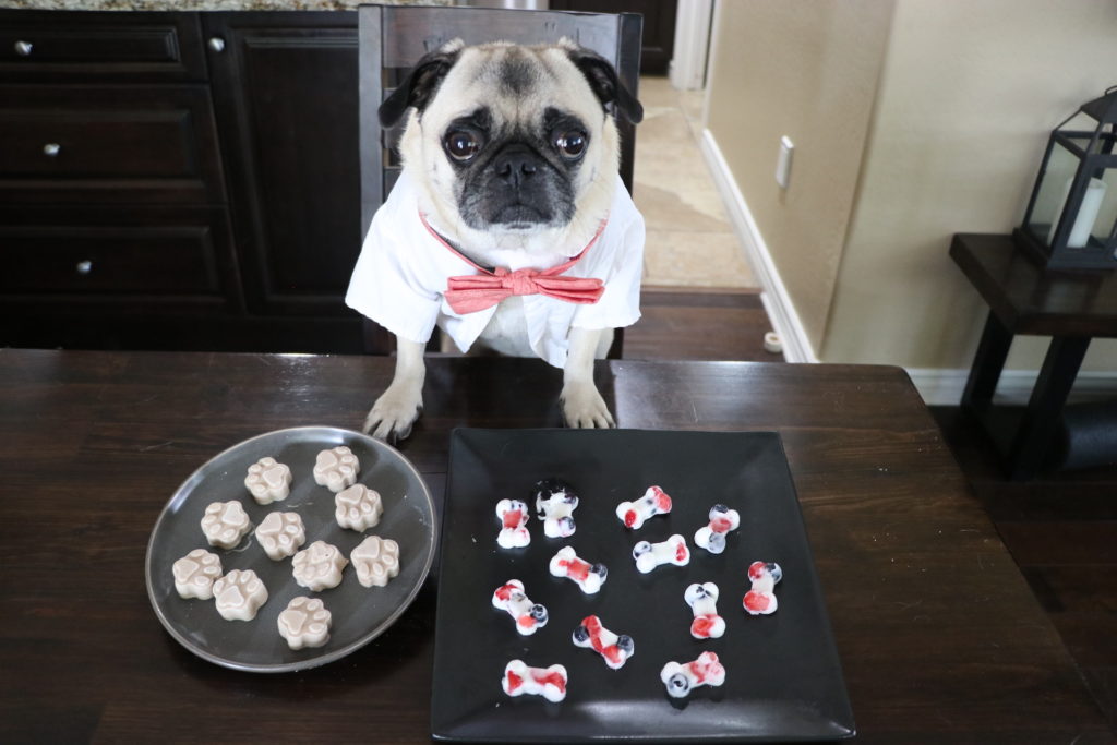 Pupsicle Recipe DIY Frozen Dog Treats