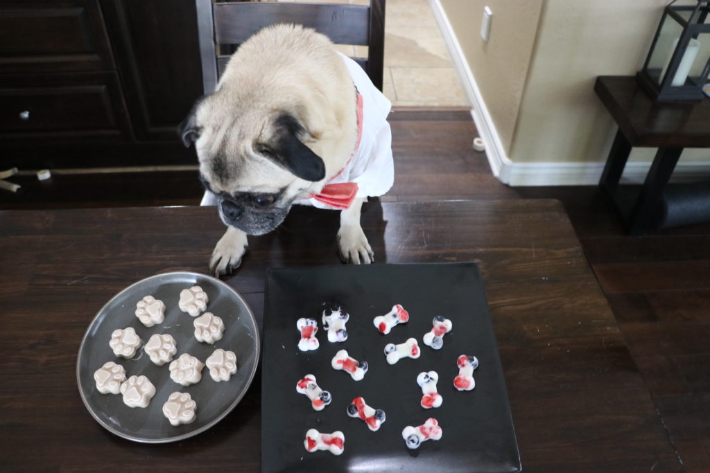 Pupsicle Recipe DIY Frozen Dog Treats