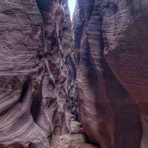 Wire Pass Slot Canyon & Buckskin Gulch Trail Hike 10