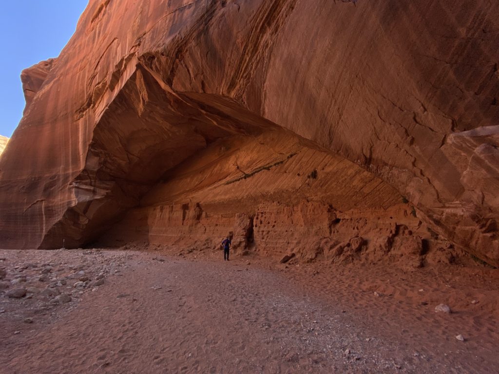 Wire Pass Slot Canyon & Buckskin Gulch Trail Hike 10