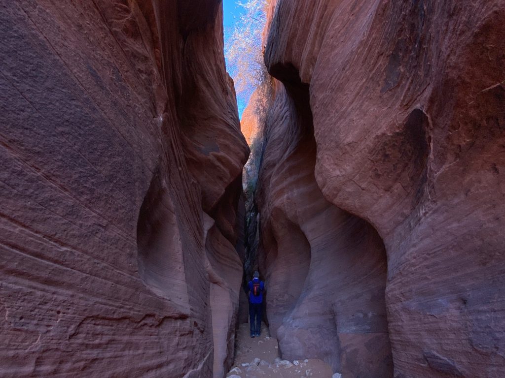 Wire Pass Slot Canyon & Buckskin Gulch Trail Hike 10