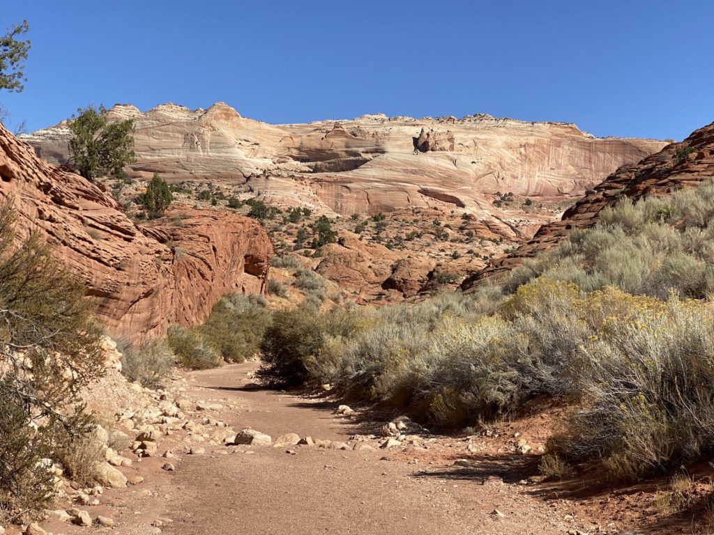 Wire Pass Slot Canyon & Buckskin Gulch Trail Hike 10