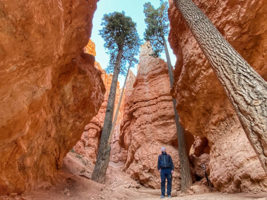 Navajo Loop Wall Street Trail Hike Bryce Canyon