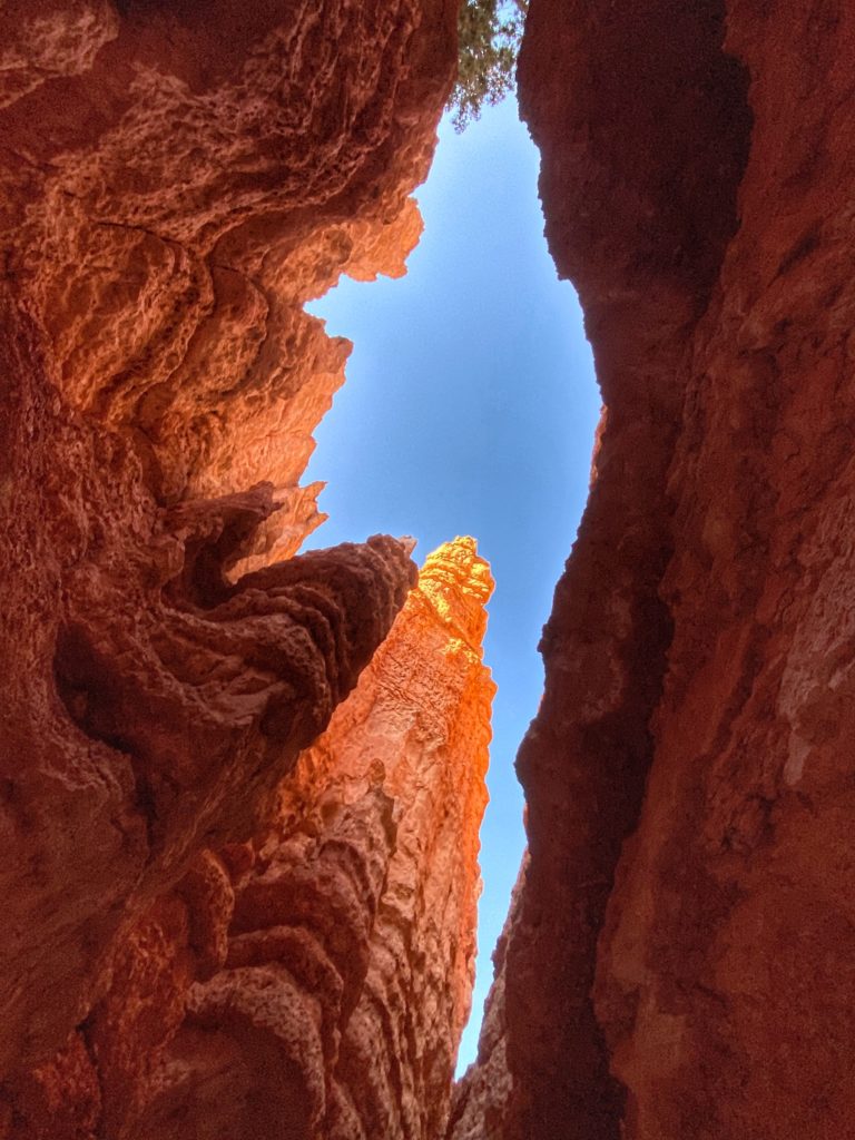 Navajo Loop Wall Street Trail Hike Bryce Canyon