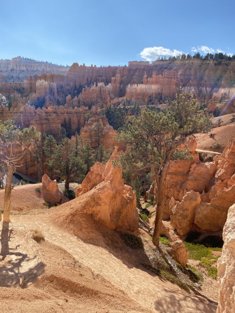 Navajo Loop Wall Street Trail Hike Bryce Canyon