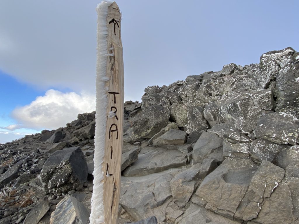 Humphreys Peak Hike Guide