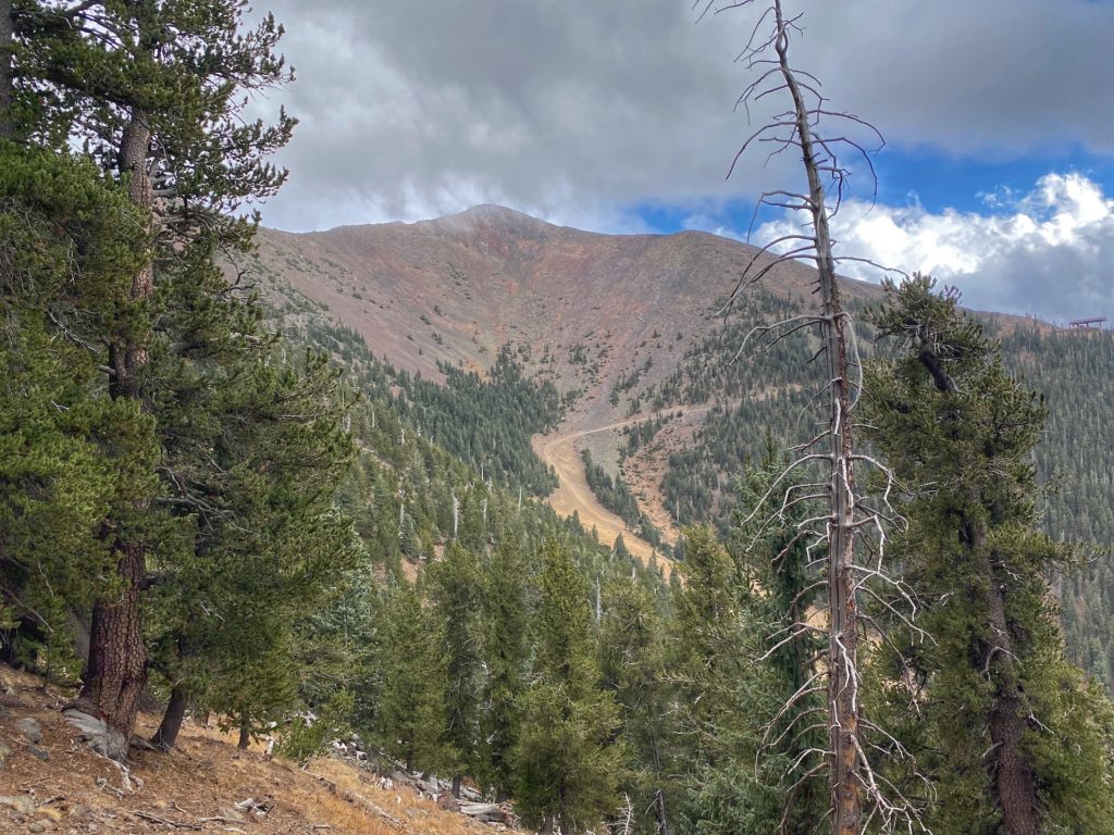 Humphreys Peak Hike Guide & Tips