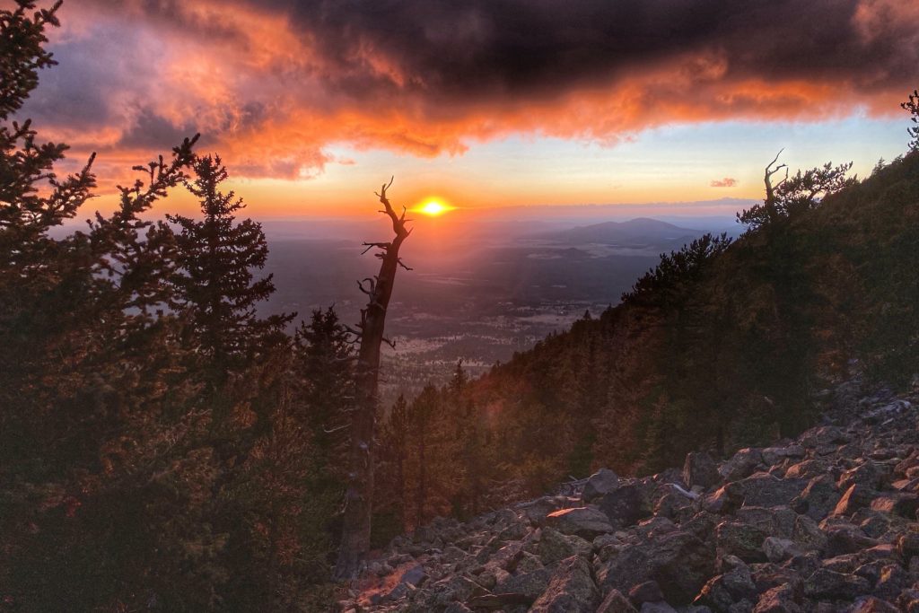 Humphreys Peak Hike Guide & Tips