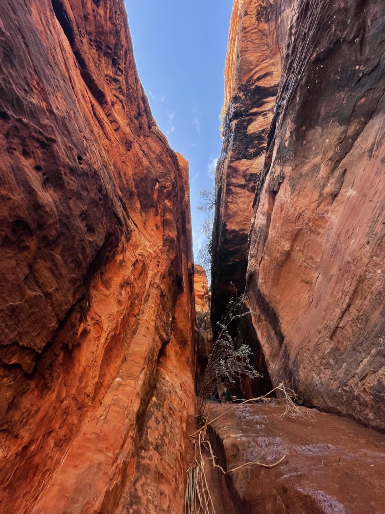 Subway Cave Trail Hike Boynton Canyon Sedona