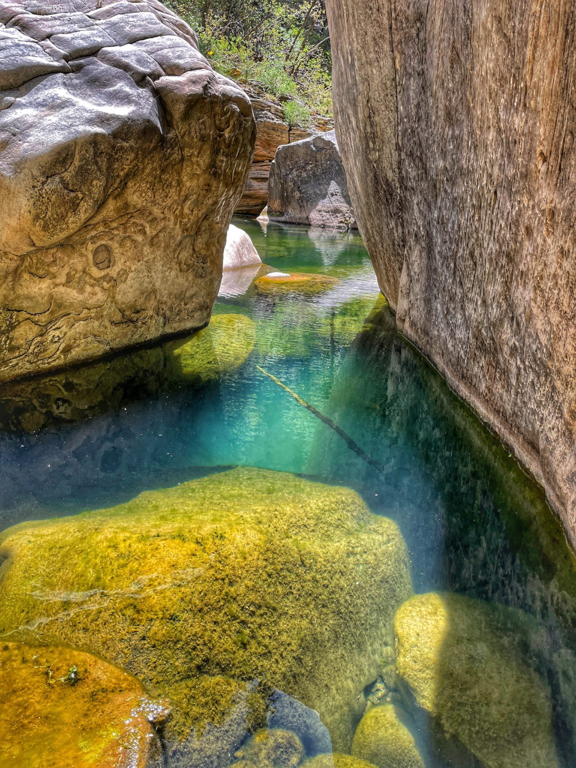 West Clear Creek Wilderness Trail Hike to Hanging Springs & Pool Grande