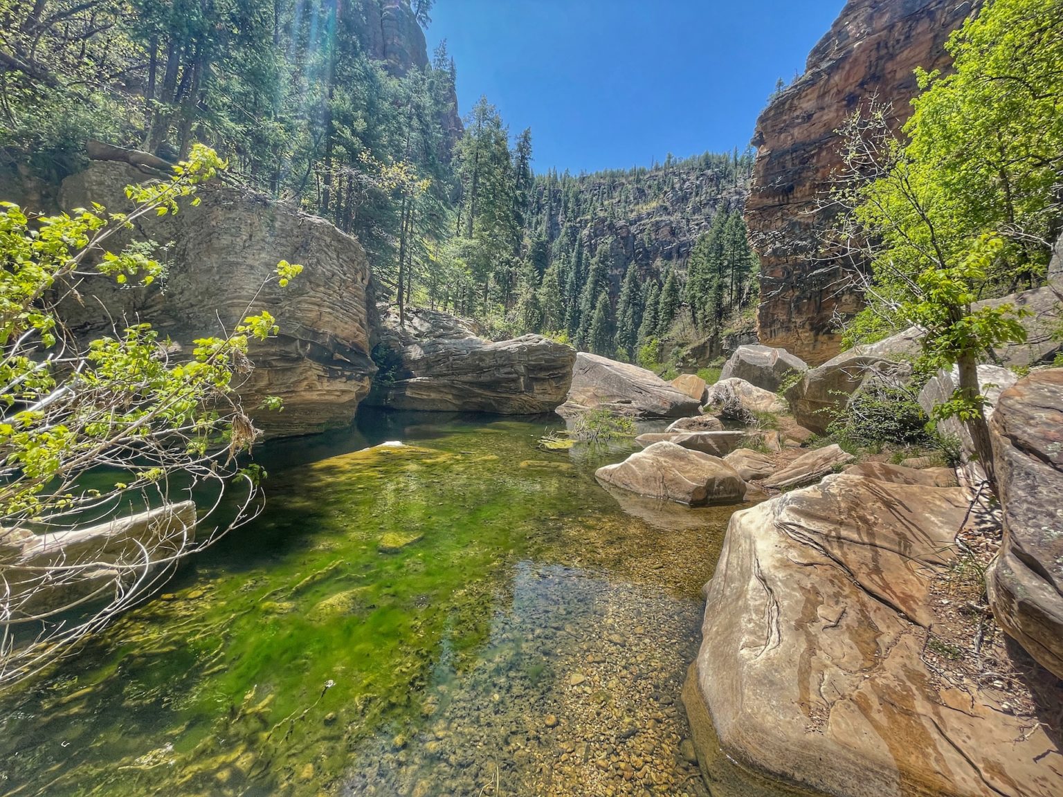 West Clear Creek Wilderness Trail Hike to Hanging Springs & Pool Grande