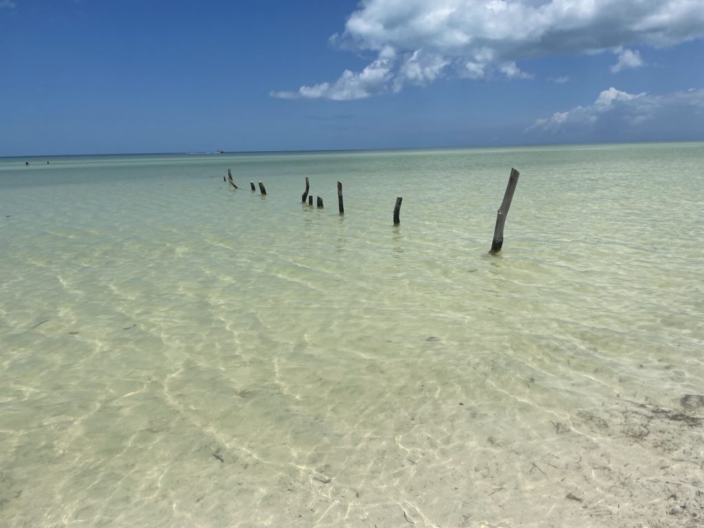 Best things to do in Isla Holbox