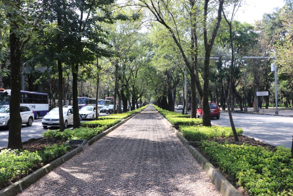 Best things to do Polanco Mexico City La Reforma 2