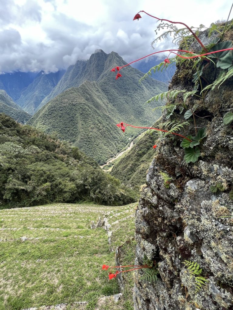 Machu Picchu hike guide