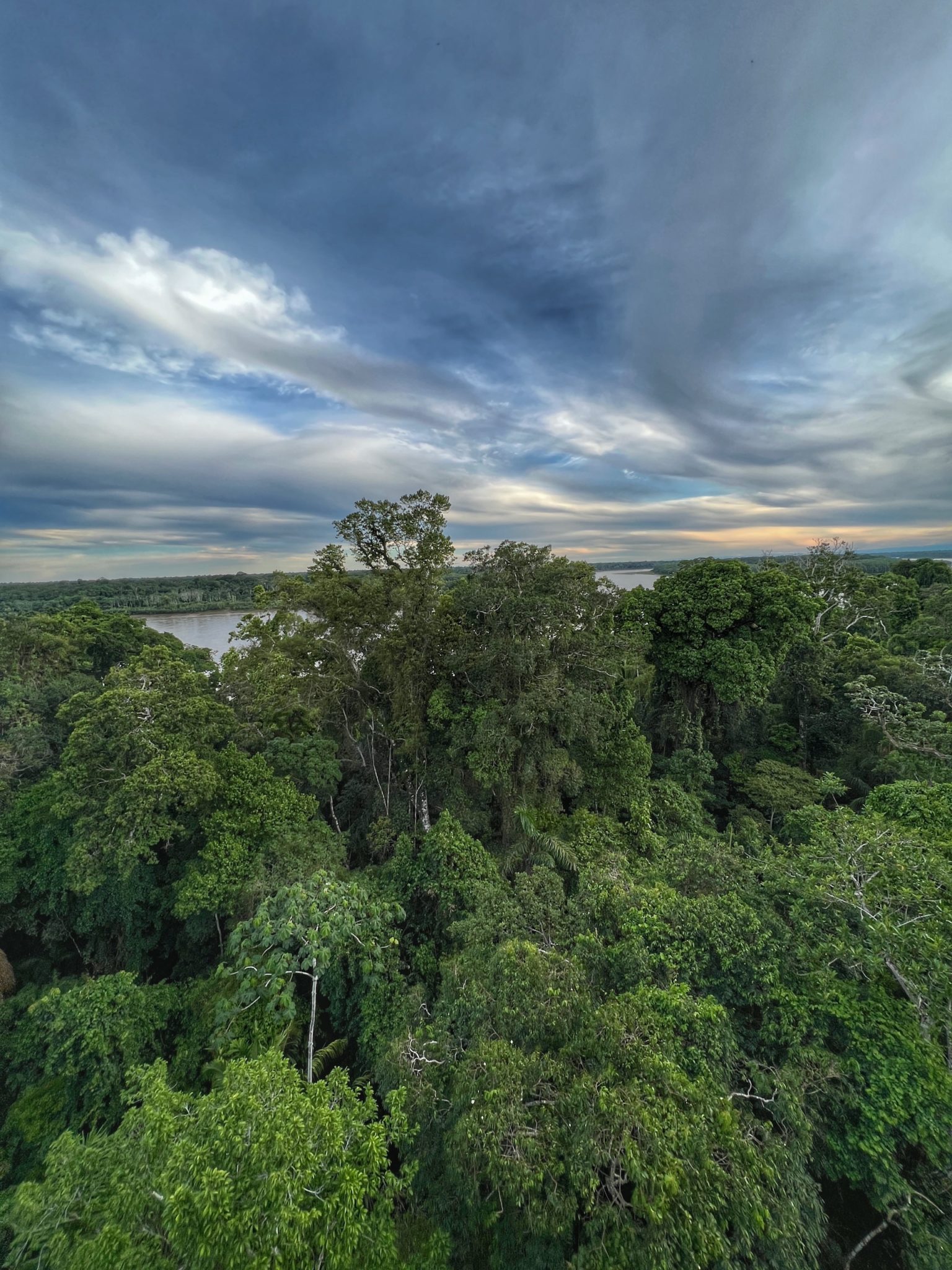 Guide To The Amazon Jungle In Peru via Puerto Maldonado | Inspire ...