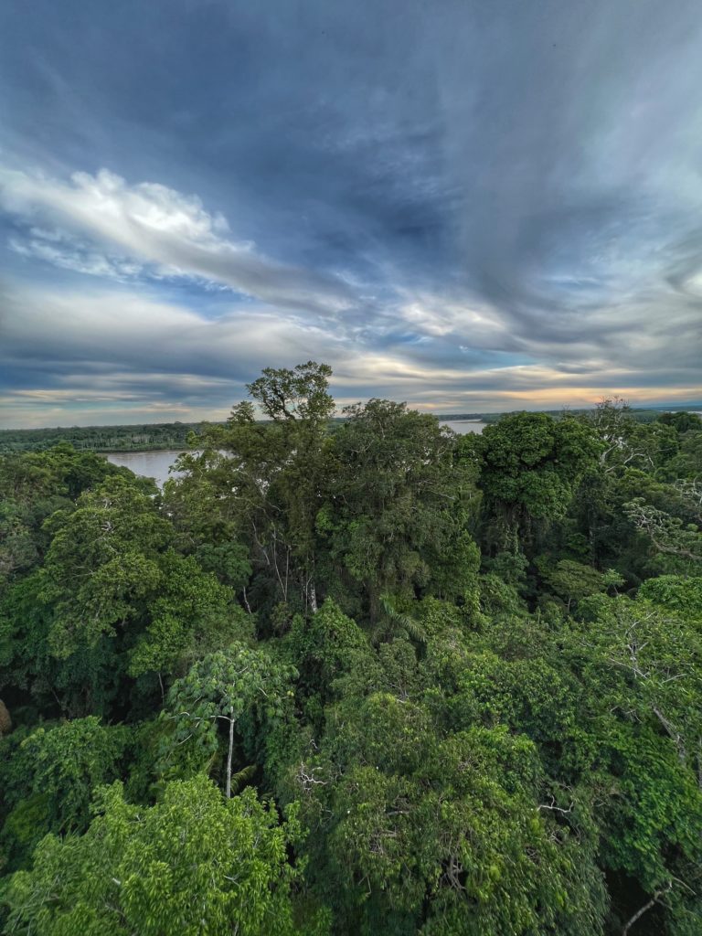 Guide how to visit Peru Amazon Jungle 17