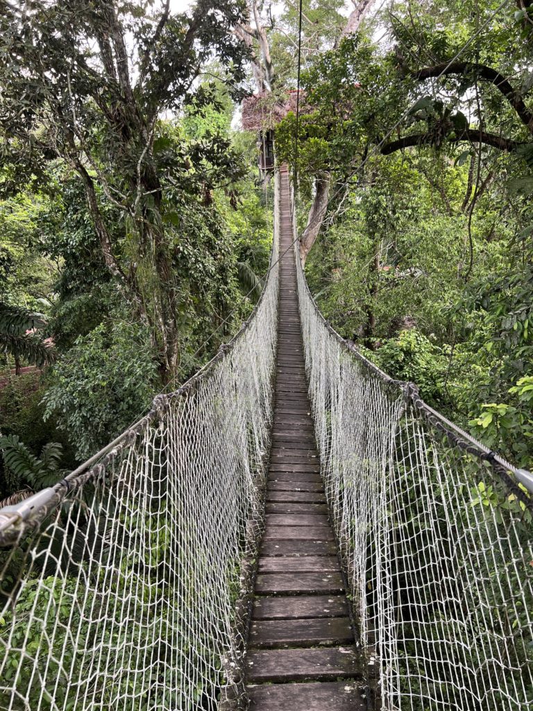 best place to stay in the Peru Amazon Jungle