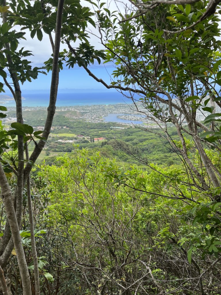 Best Hike Oahu Hawaii