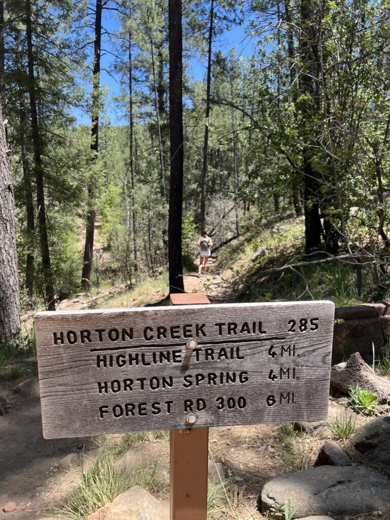 Best hike near Payson | Horton Springs via Horton Creek Trail